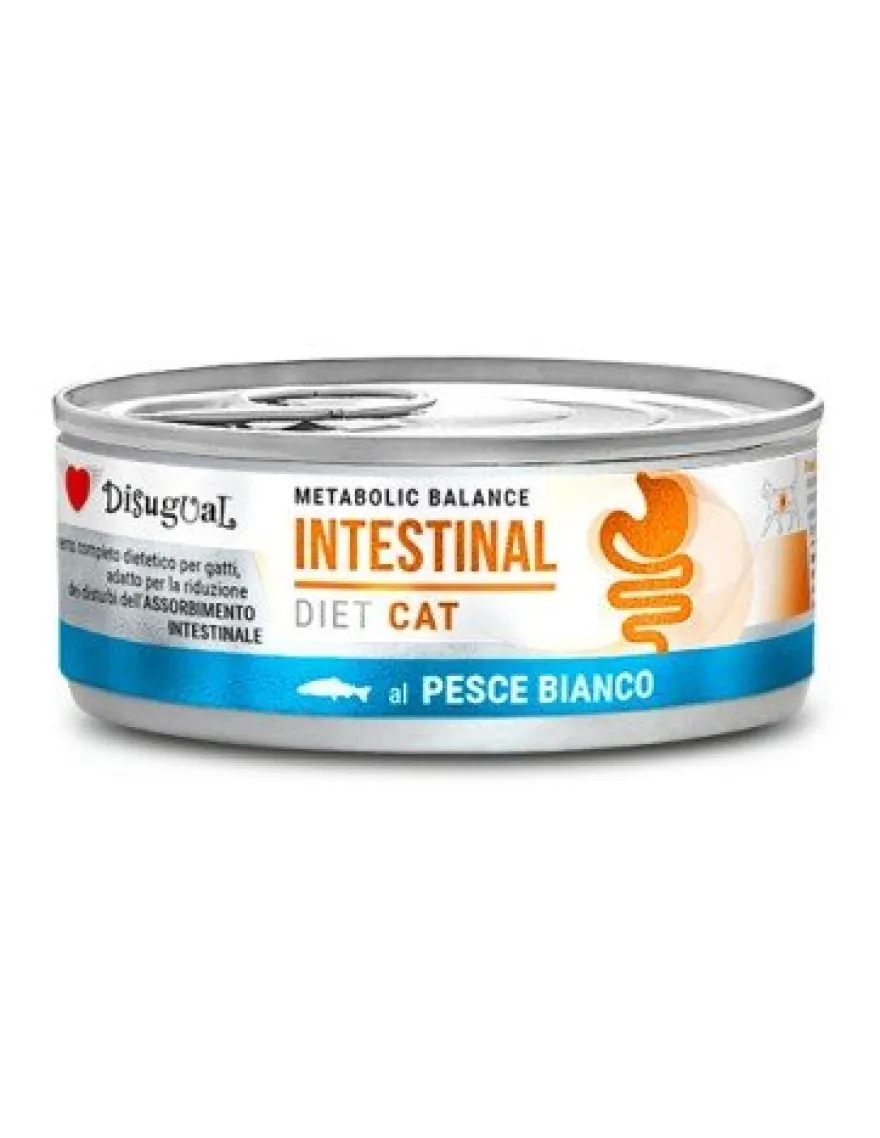 Disugual Diet Gato Intestinal Pescado Blanco 12x85g