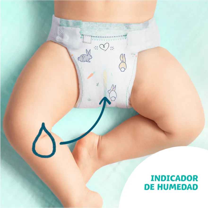 DODOT Cuidado Total Pañales Talla 3 (6-10kg) 44 unidades