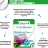 Drasanvi Cardo Mariano 30 Cápsulas