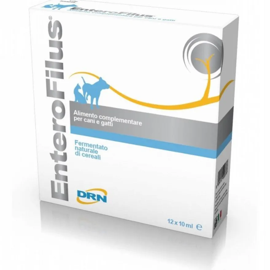 DRN Enterofilus Complemento Alimenticio Líquido 12 ampollas de 10ml