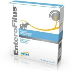 DRN Enterofilus Complemento Alimenticio Líquido 12 ampollas de 10ml