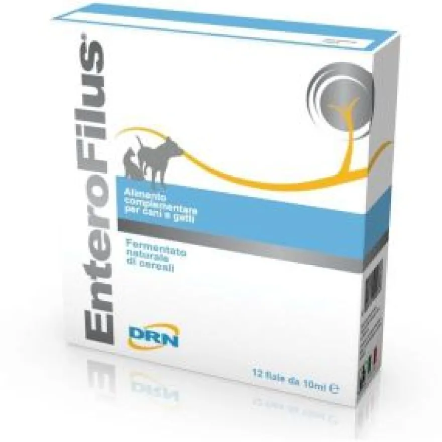 DRN Enterofilus Complemento Alimenticio Líquido 12 ampollas de 10ml