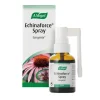 Echinaforce Spray 30 ml