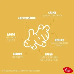 El Granero Integral Jengibre Polvo Bio 150 g