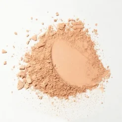 EMBRYOLISSE Polvo Compacto Bonne Mine 12 gr