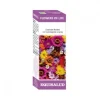 Equisalud Flowers of Life Estrés 15 ml
