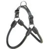 Ferplast Agila Derby 6 Arnés Negro 15kg