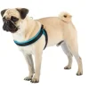 Ferplast Agila Fluo Arnés Perro Azul 200g