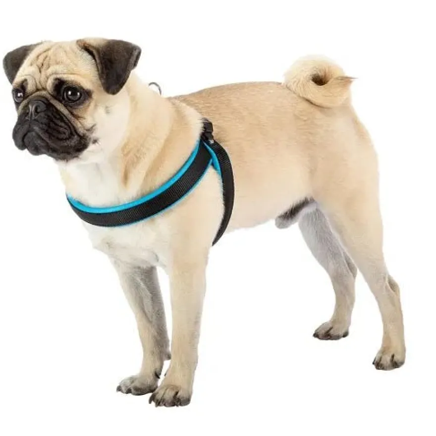 Ferplast Agila Fluo Arnés Perro Azul 200g