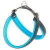 Ferplast Agila Fluo 5 Peitoral Azul 1 ud