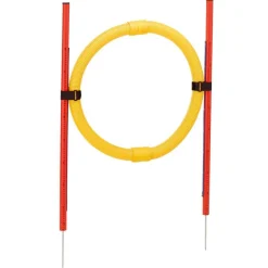 Ferplast Agility PA-6862 Círculo para Entrenamiento Amarillo 194g