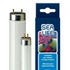 Ferplast Aquacoral T5 Lámpara de Acuario 54W 2000g