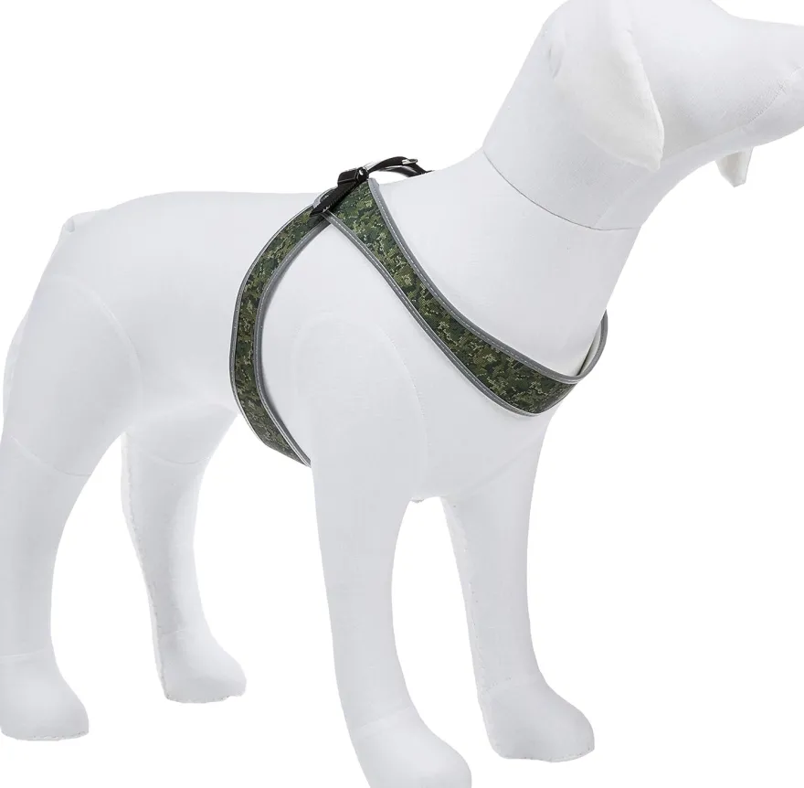 Ferplast Arnes Agila Cammie 9 Gris 1 ud