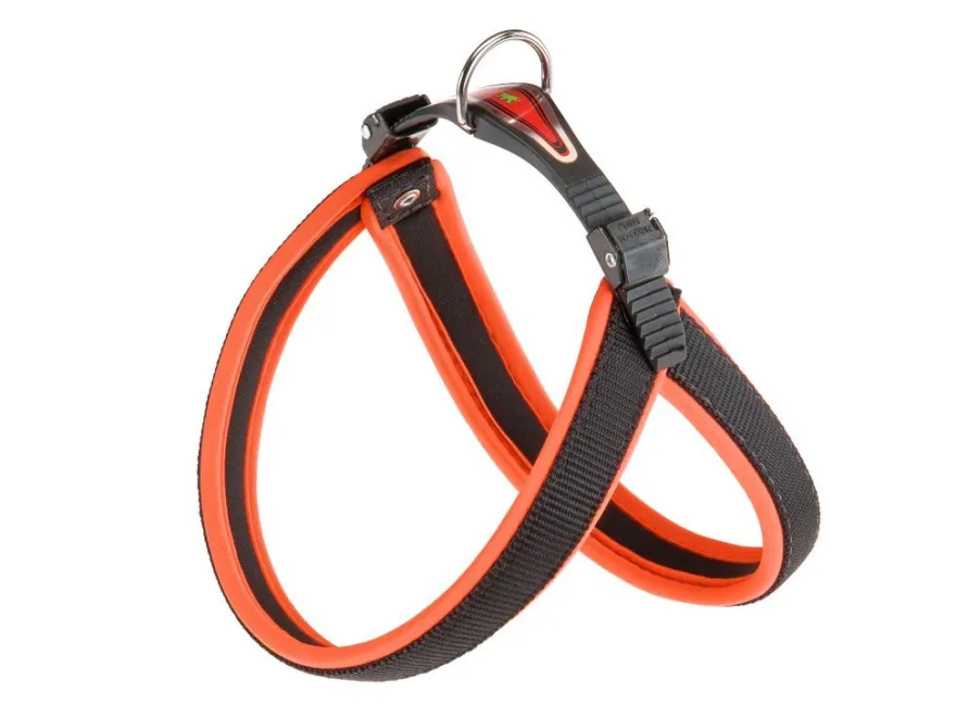 Ferplast Arnes Agila Fluo 4 Postrón para perros Naranja 1 ud