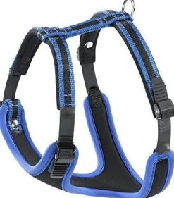 Ferplast Arnes Perro Ergocomfort P XL Azul 1 ud