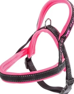 Ferplast Arnes Sport Dog Fucsia XS 1 ud