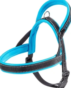 Ferplast Arnes Sport Dog P Arnés Nórdico Azul S 1 ud