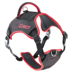 Ferplast Arnés Nylon Genius Extra Grande Rojo 520g