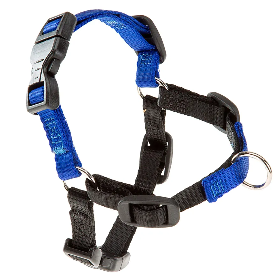 Ferplast Coach Arnés S-M Azul y Negro 1 ud