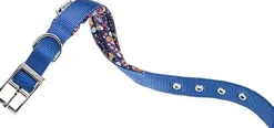 Ferplast Collar Daytona Fantasy C25 45 Azul 100g