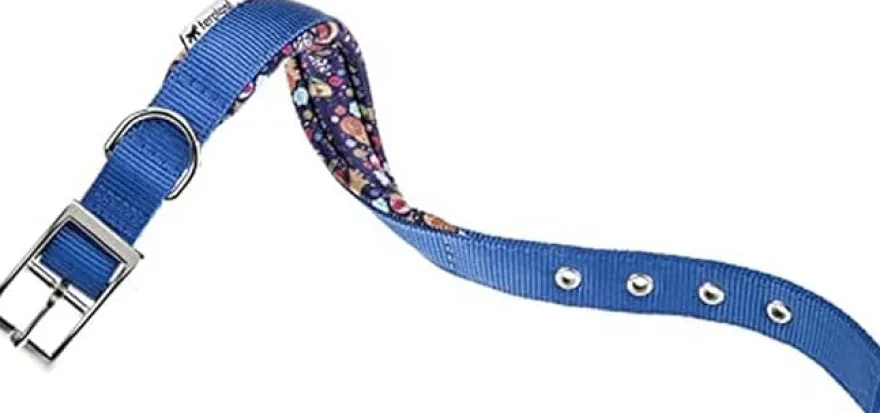 Ferplast Collar Daytona Fantasy C25 45 Azul 100g