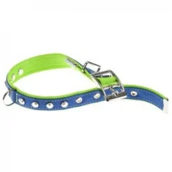 Ferplast Collar Dual Azul Verde 15mm 1 ud