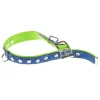 Ferplast Collar Dual CF25 45cm Azul-Verde 1 ud