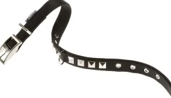 Ferplast Collar Dual CF15/35 Nylon Negro 41.6g
