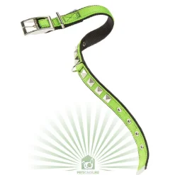 Ferplast Collar Dual Pyramids Nylon Verde y Negro 1 ud