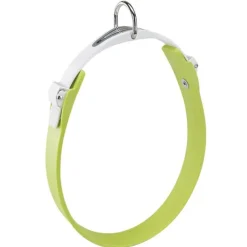 Ferplast Collar Ergoflex C28/60 Verde 1 ud