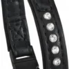 Ferplast Collar Lux C15 Sencillo Negro 25cm