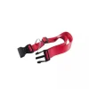 Ferplast Collar Nylon Club C 20 Rojo 1 ud