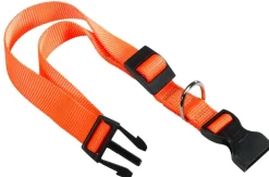 Ferplast Collar Nylon Perro Club C15 Naranja 0.03kg