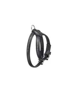 Ferplast Correa Amigo Easy S Retráctil Negra 5m
