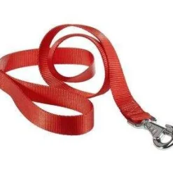 Ferplast Correa Nylon Club G25 Rojo 120cm