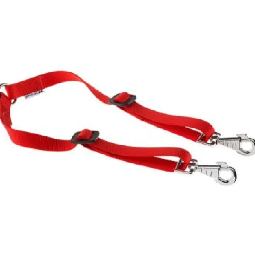 Ferplast Correa Nylon Twin 10 Doble 36cm