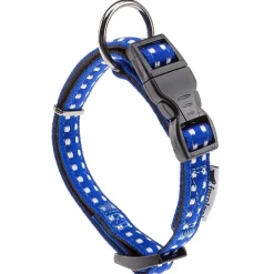 Ferplast Cricket Collar Perro Azul 1 ud