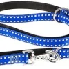 Ferplast Cricket Matic GA20 Correa para Perros 200cm Azul 1 ud
