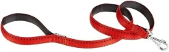Ferplast Cricket Matic G20 Correa para Perros Rojo 120cm