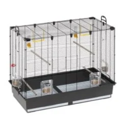 Ferplast Cuadro Jaula Piano Marrón 1 ud