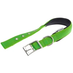 Ferplast Daytona C25 Collar Clásico Verde 45cm