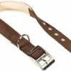 Ferplast Daytona C25 Collar Marrón 1 ud