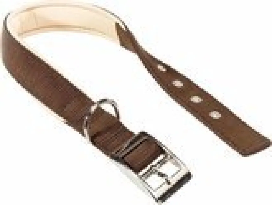 Ferplast Daytona C25 Collar Marrón 1 ud