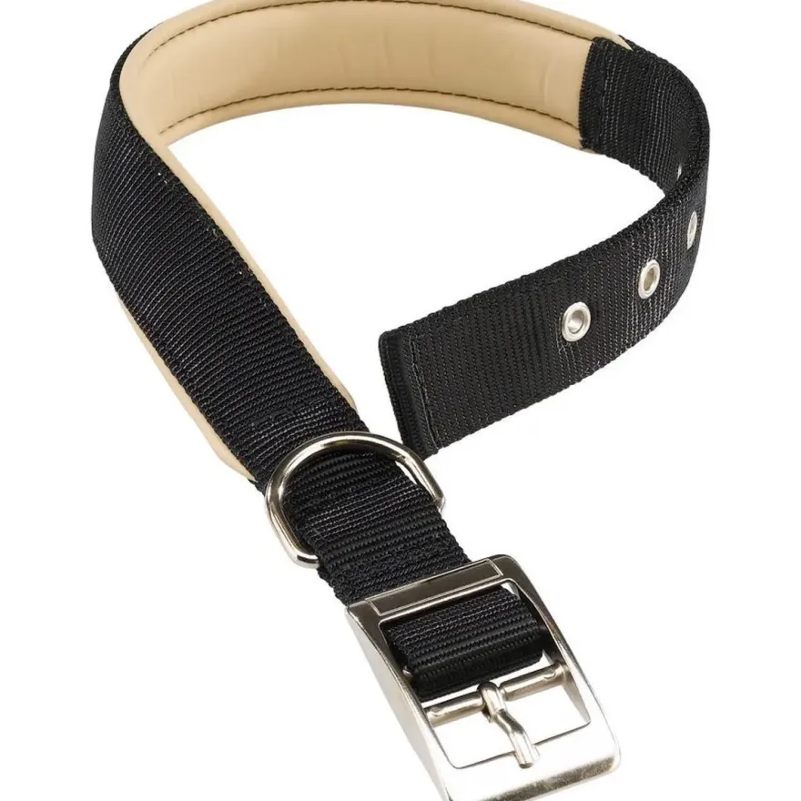 Ferplast Daytona C25 Collar para Perro Negro 1 ud