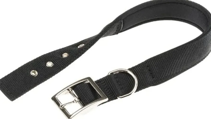 Ferplast Daytona Collar de Perro Marrón 158g