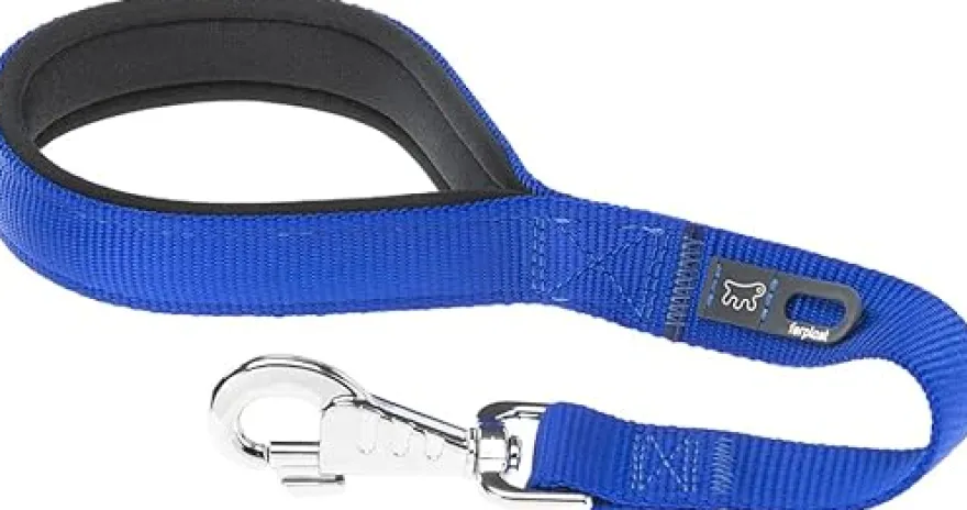 Ferplast Daytona Correa de Nylon Azul 45cm