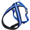 Ferplast Daytona Cross Arnés Azul 1.5cm