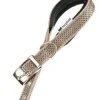 Ferplast Daytona Deluxe C20/43 Collar para Perro Marrón 1 ud