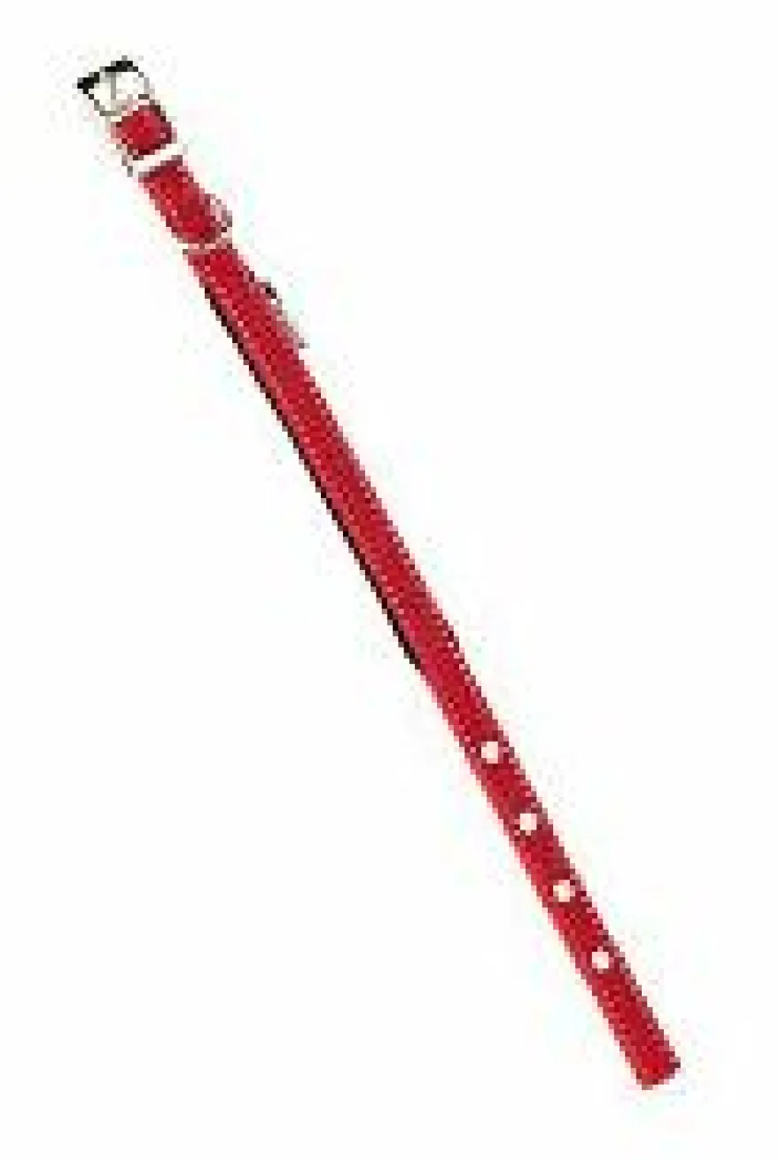 Ferplast Daytona Deluxe Collar Reflectante Rojo 1 ud