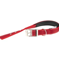 Ferplast Daytona Deluxe Collar de Perro Rojo 37-45cm 90g